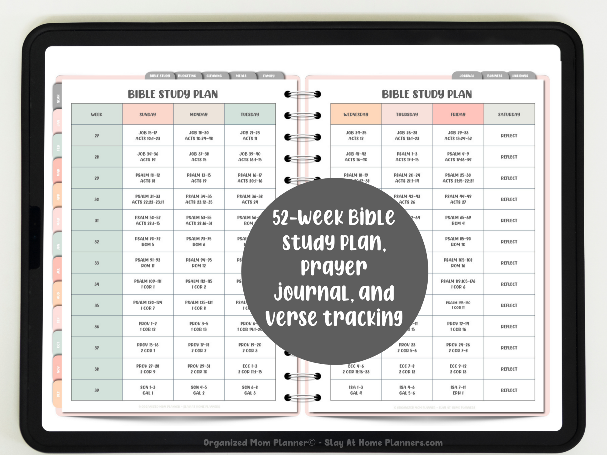undated bible study plan overview